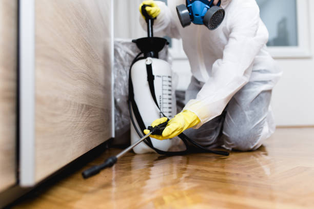 Best Termite Control Services  in Ephrata, WA
