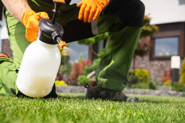 Best Local Pest Control Services  in Ephrata, WA