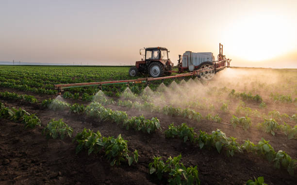 Best Pest Control Cost  in Ephrata, WA