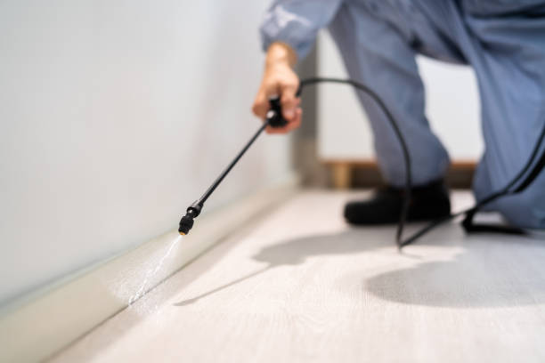 Best Mosquito Control Services  in Ephrata, WA
