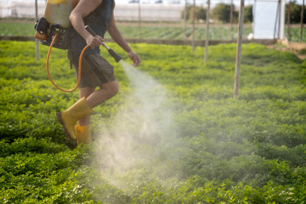 Best Pest Prevention Services  in Ephrata, WA