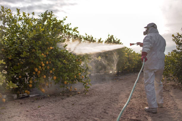 Spider Control Near Me in Ephrata, WA
