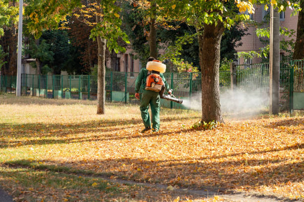 Best Pest Control Treatment  in Ephrata, WA