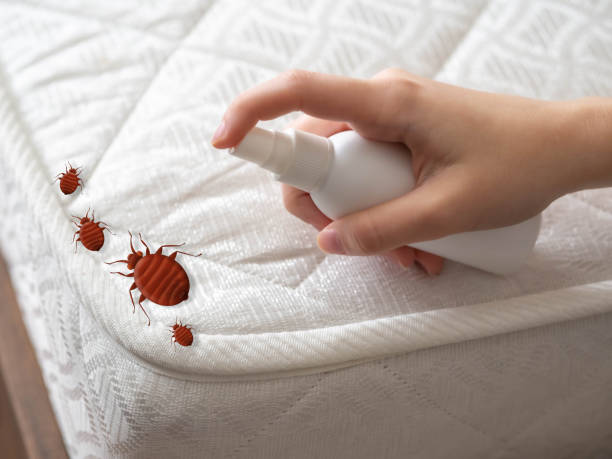 Flea Control Services in Ephrata, WA
