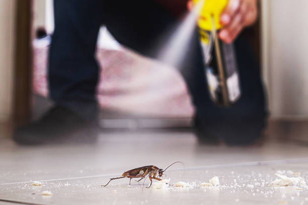 Best Pest Control for Homes  in Ephrata, WA