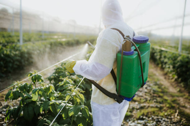 Best Affordable Pest Control Services  in Ephrata, WA